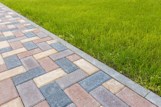 Best Driveway Paving Contractor  in Cedar Falls, IA